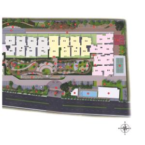 Coevolve Florenza Brochure 17