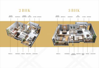 Basil Maximus Brochure 9