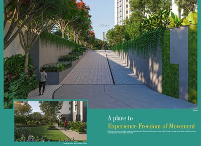 Western Springs Brochure 13