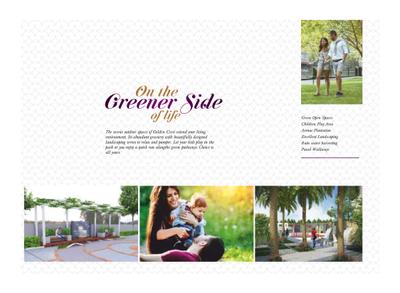 Vulcan Golden Crest Brochure 15