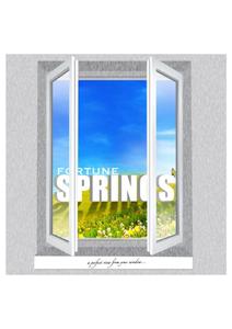 Fortune Springs Brochure 1