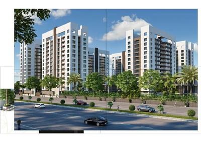 DMD Spring Valley Brochure 12
