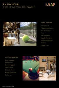 SS The Leaf Brochure 16