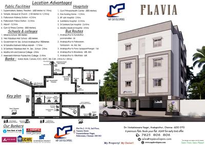 MP Flavia Brochure 2