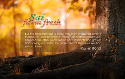 Sukriti Sai Farm Fresh Brochure 8