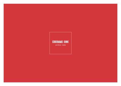 Codename Dink Brochure 1