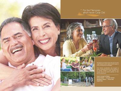 CHD 106 Golf Avenue Brochure 13