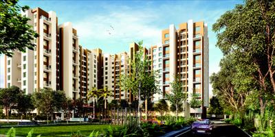 Raojee Palladium Plus Brochure 16