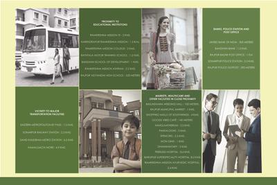 Adonis Aleya Brochure 7