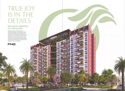 Cynosure Sunny Groves Brochure 6