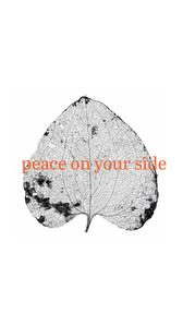 Skyi Park Phase I Brochure 11