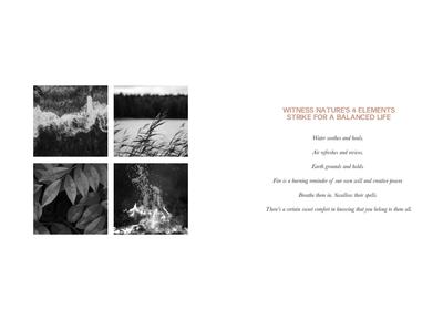 Adi Elementis Brochure 2