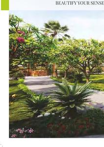 Pacifica Lakeside Developers LLP Casa Lakeside Phase 2 Brochure 34