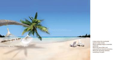 Mathias Ocean Park Residency Brochure 2