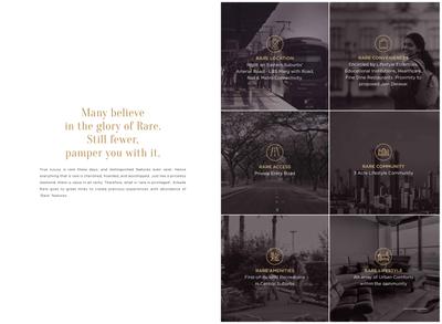 Arkade Rare Brochure 4
