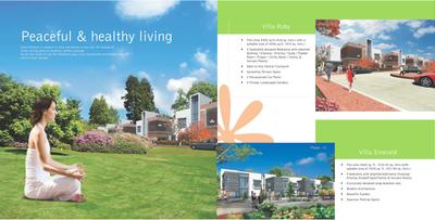 Silver Springs Brochure 7
