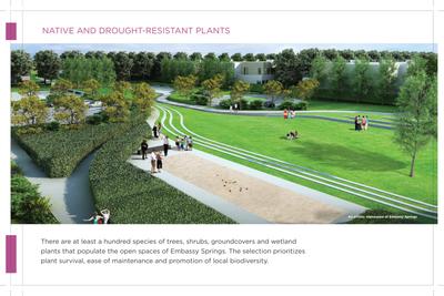 Embassy Springs Brochure 15