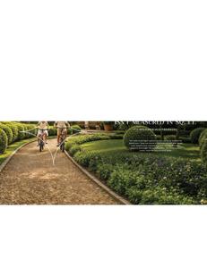 Vida Stellaris Brochure 6