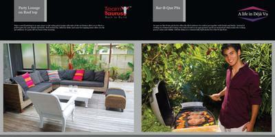 Team Deja Vu Brochure 6