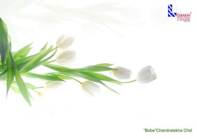 Image of 800 Sq.ft 2 BHK Apartment / Flat for sale in Ssakash Bobe Chandralekha CHSL, Dahisar East, Mumbai for Rs. 17000000
