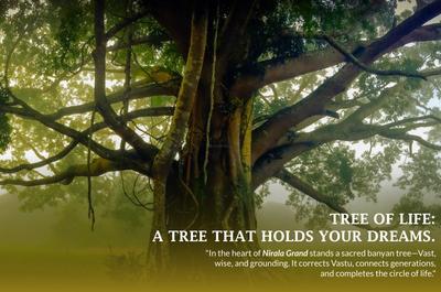 Nirala Grand Brochure 8