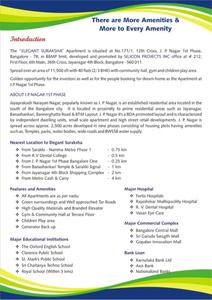 Silicon Elegant Suraksha Brochure 3