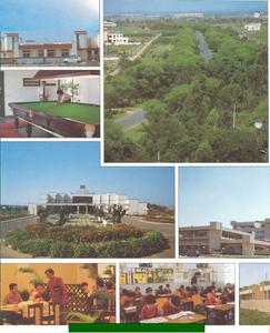 DLF Silver Oaks Brochure 2