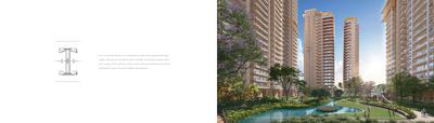 Ivory County Phase 1 Brochure 16