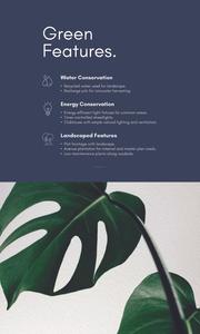 The Secret Lake Brochure 9