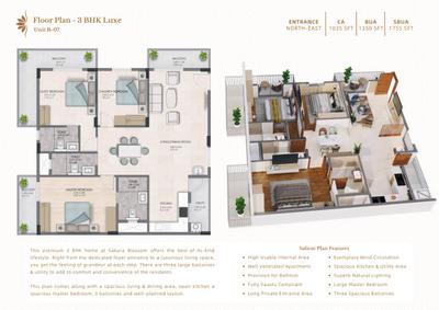 SSC Sakura Blossom Brochure 19