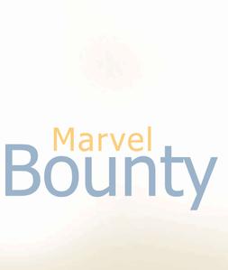 Marvel Bounty Brochure 3