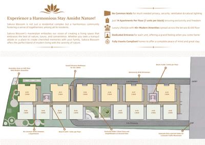 SSC Sakura Blossom Brochure 7