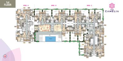 Image of 1092 Sq.ft 2 BHK Apartment / Flat for sale in Akanksha The Camelia, Wakad, Pune for Rs. 6000000