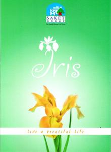 Image of 680 Sq.ft 1 BHK Apartment / Flat for sale in Saket Iris, Kalyan East, Kalyan for Rs. 3400000
