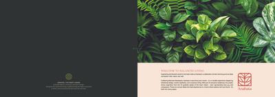 Raintree Anahata Brochure 2
