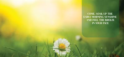 Bhavisha Meadows Brochure 4
