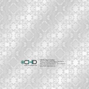 CHD Silver County Brochure 13