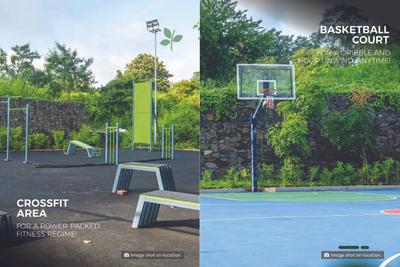 Treeland Brochure 12