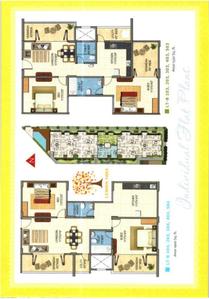 Sun Shine Orange Tree Brochure 19