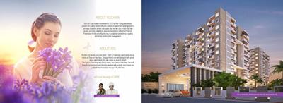 Ruchira Iris Brochure 2
