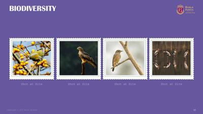 Birla Punya Phase II Brochure 10