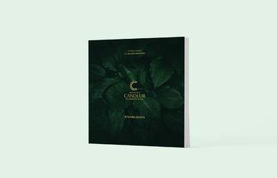 Enjamuri s Padmavathi Villas Brochure 19
