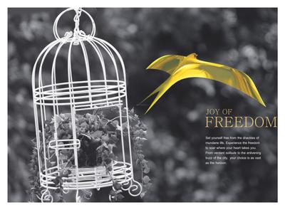Kumar Millenium Brochure 3