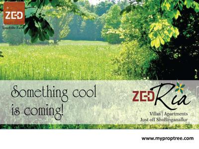 ZED Ria Brochure 1