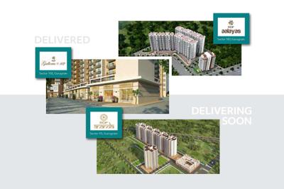 ROF Insignia Souk Brochure 29