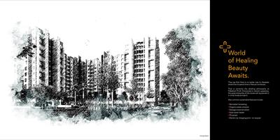 Raojee Palladium Plus Brochure 4