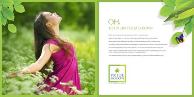 Pride Meadows Brochure 2