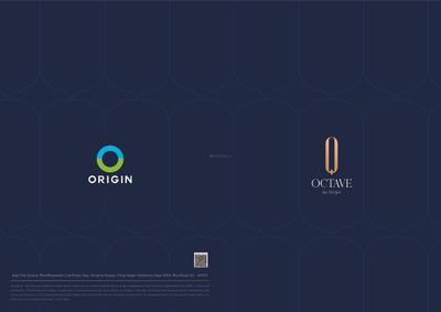 Origin Octave Brochure 1