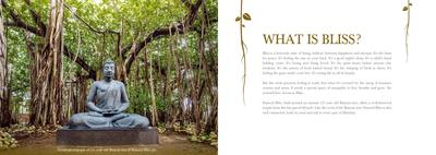 Runwal Bliss Wing E Brochure 2