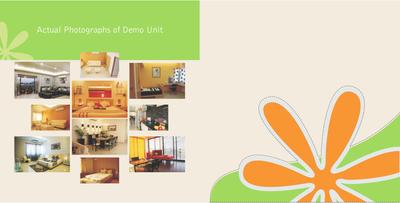 Silver Springs Brochure 12